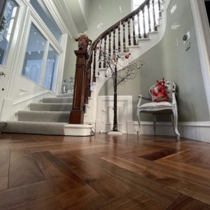 American Walnut 4